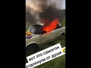 video by prikoldesy