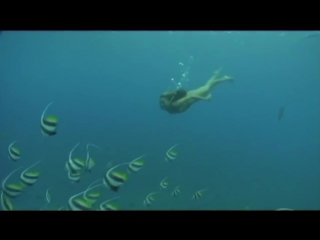 sirens of the sea - naked underwater diving - naturist compilation